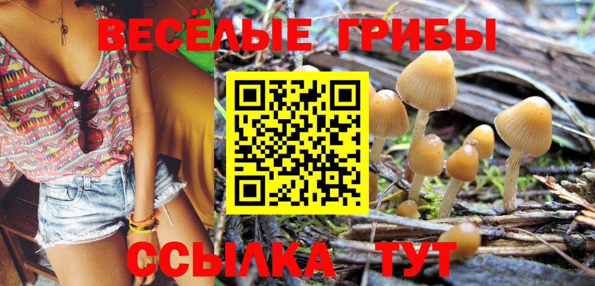 Гуково  Галлюциногенные грибы Magic Shrooms  Вход с VPN  Псилоцибиновые грибы Magic Shrooms 